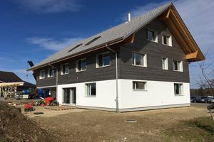 NUR-HOLZ House in Switzerland near Zurich